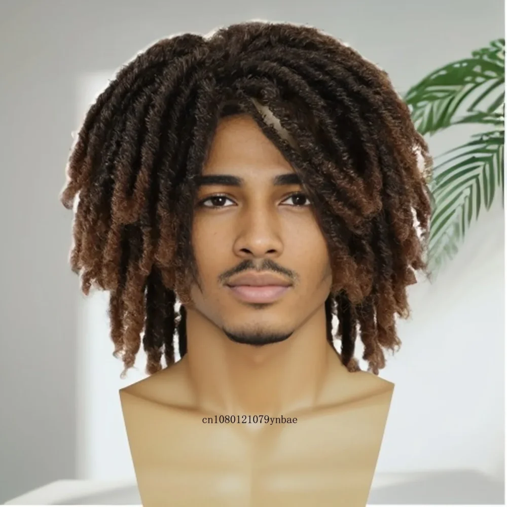 Braided Wig Men Synthetic Hair Halloween Costume Cosplay Daily Wig Curly Afro Hairstyles Disco Carnival Party DreadLock Wigs